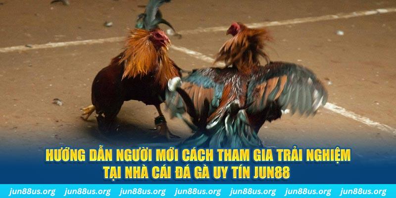 link m88 168G Điện Tử