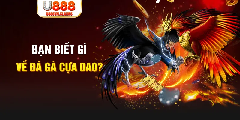 link m88 gà chọi đắk pơ