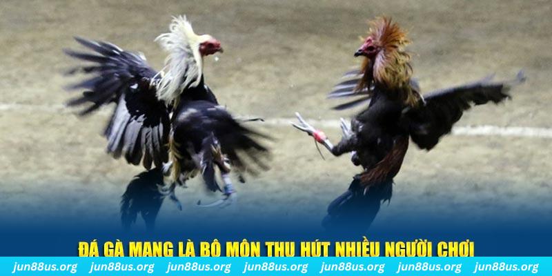 link m88 đá gà trực tiếp casino