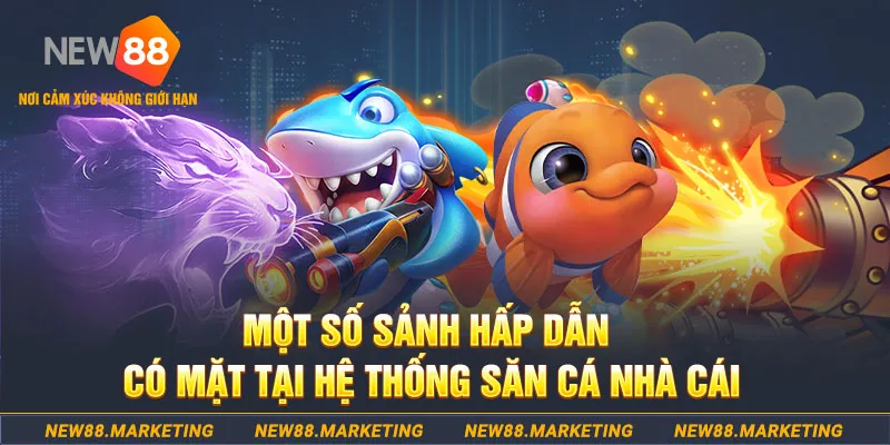 đăng nhập mậu binh khuyến mãi