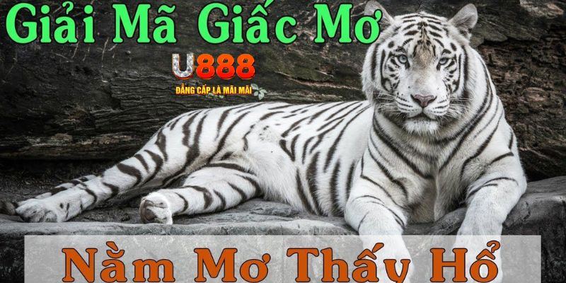 link m88 nổ hũ máy bay