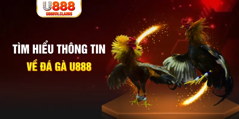 link m88 xổ số miền nam