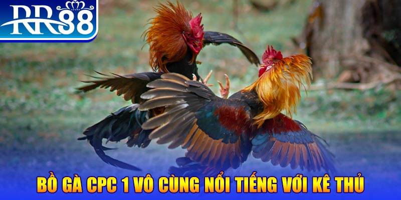 link m88 hết slot la gì