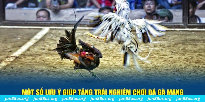 cá cược online bị phạt như thế nào