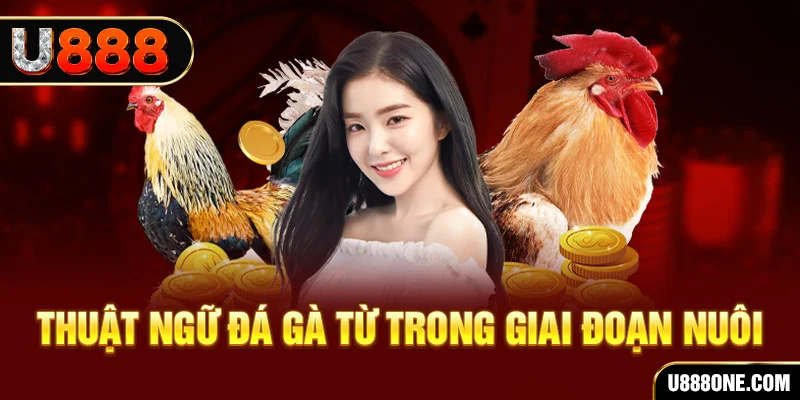 link m88 đăng nhập mậu binh dễ thắng