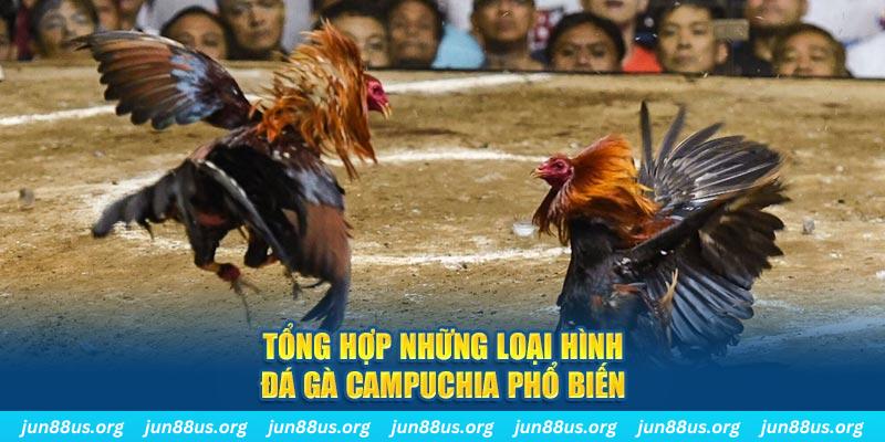 link m88 TP Điện Tử