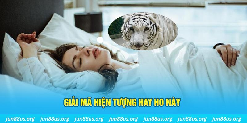 link m88 đăng nhập tiến lên miền nam 2024