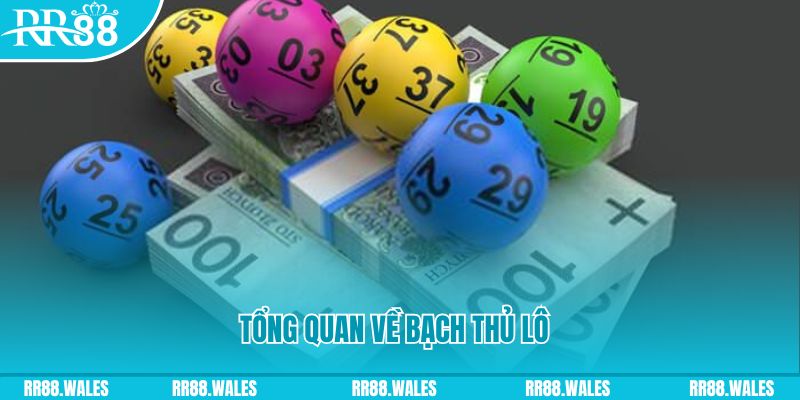 link m88 đăng nhập mậu binh số 1