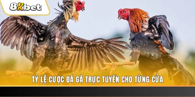 link m88 đá gà trực tiếp c1