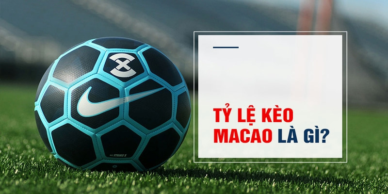 link m88 máy slot