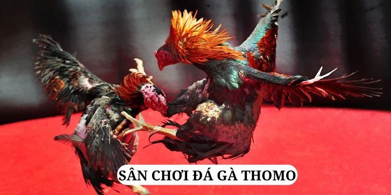 link m88 WM Trực Tuyến